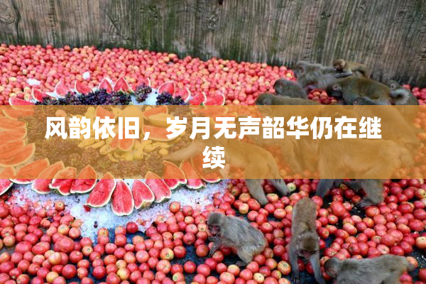 风韵依旧，岁月无声韶华仍在继续