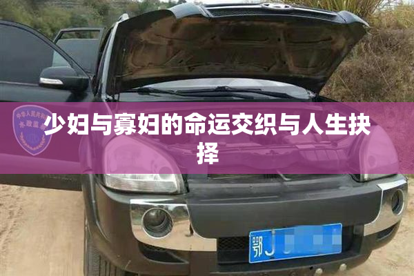 少妇与寡妇的命运交织与人生抉择