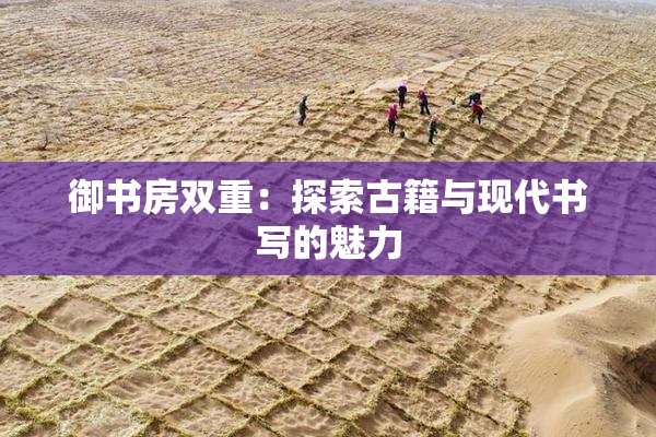 御书房双重：探索古籍与现代书写的魅力