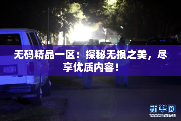 无码精品一区：探秘无损之美，尽享优质内容！