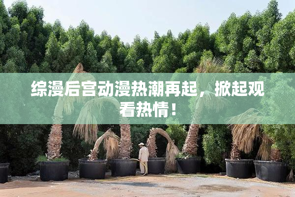 综漫后宫动漫热潮再起，掀起观看热情！