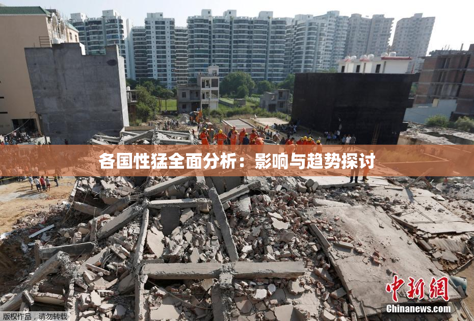 各国性猛全面分析：影响与趋势探讨