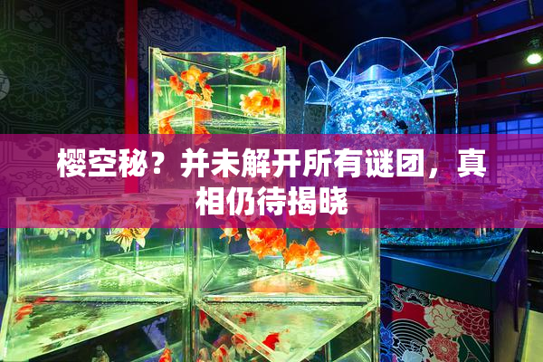樱空秘？并未解开所有谜团，真相仍待揭晓