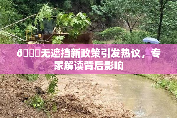 🔞无遮挡新政策引发热议，专家解读背后影响