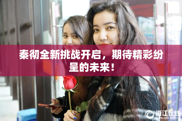 秦彻全新挑战开启，期待精彩纷呈的未来！
