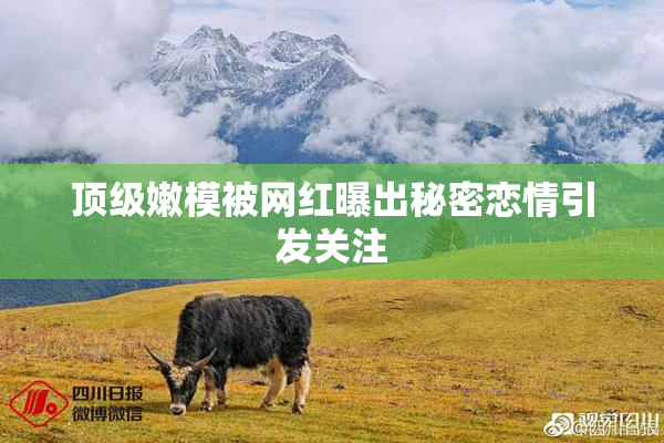 顶级嫩模被网红曝出秘密恋情引发关注