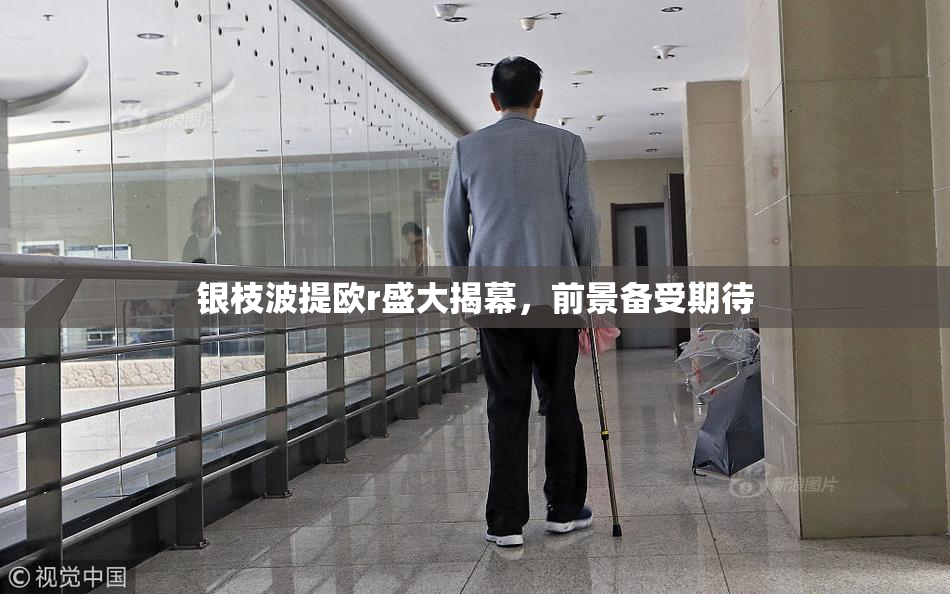 银枝波提欧r盛大揭幕，前景备受期待