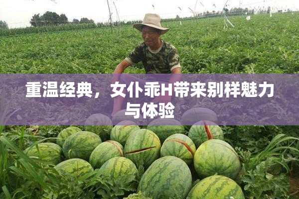 重温经典，女仆乖H带来别样魅力与体验