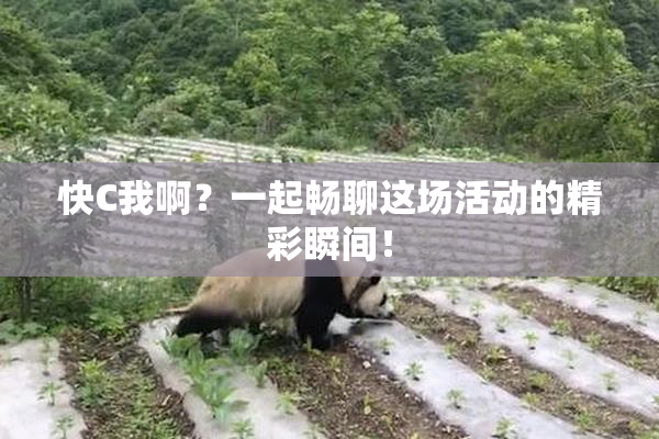 快C我啊？一起畅聊这场活动的精彩瞬间！