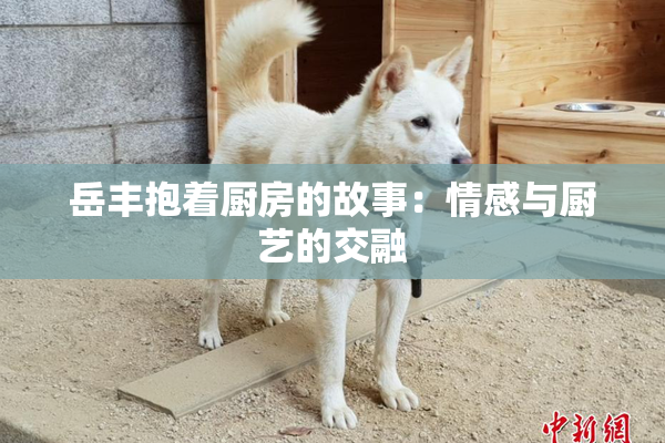 岳丰抱着厨房的故事：情感与厨艺的交融