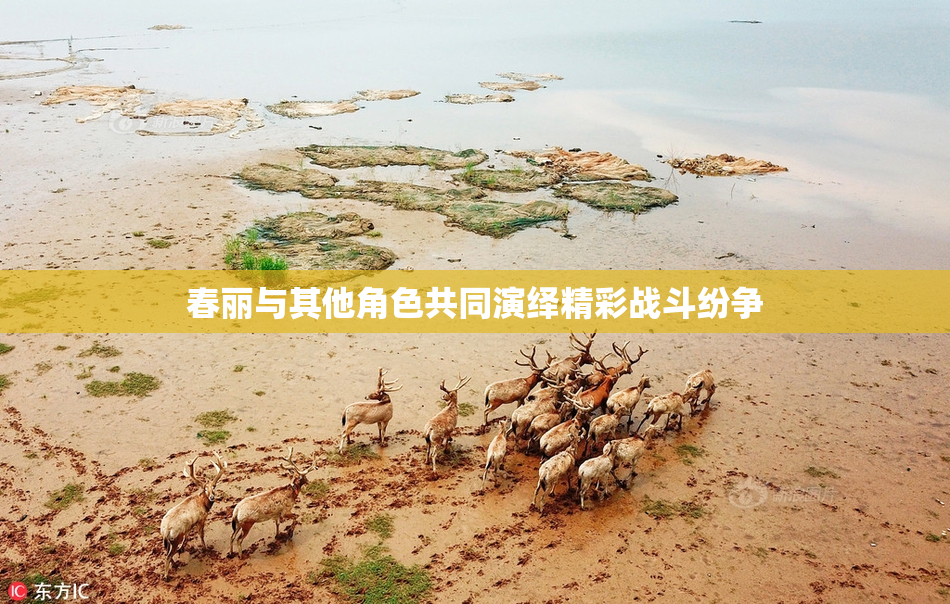 春丽与其他角色共同演绎精彩战斗纷争