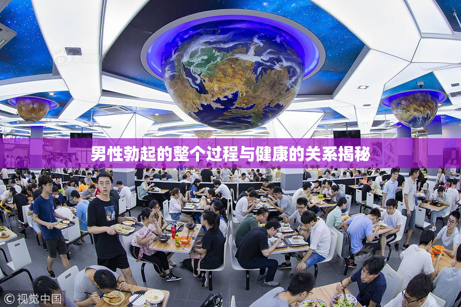男性勃起的整个过程与健康的关系揭秘