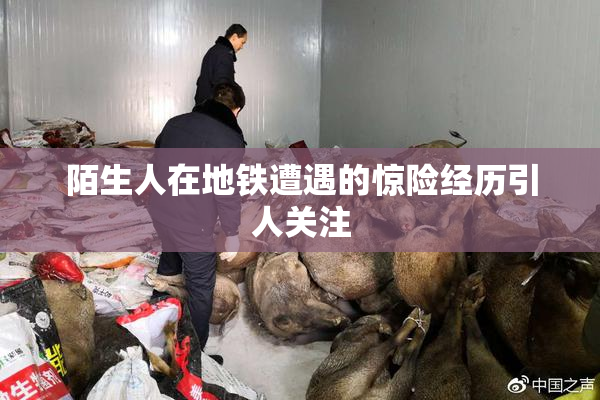 陌生人在地铁遭遇的惊险经历引人关注