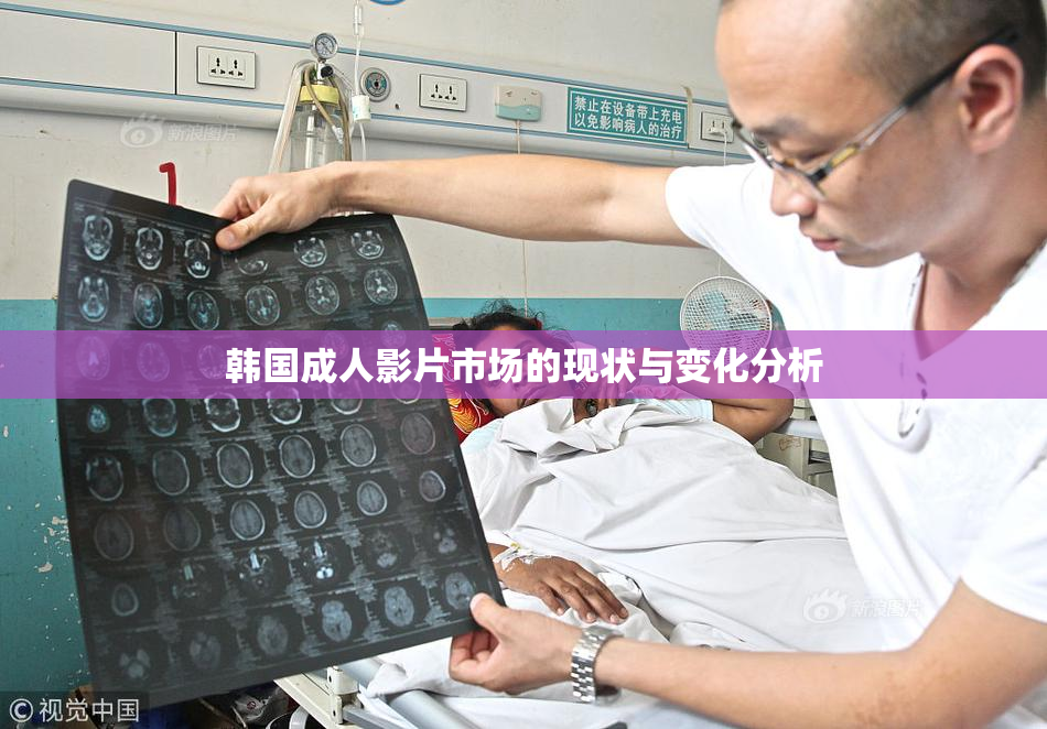 韩国成人影片市场的现状与变化分析