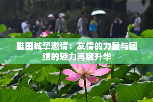 雏田诚挚邀请：友情的力量与团结的魅力再度升华