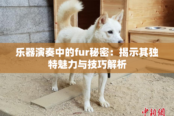 乐器演奏中的fur秘密：揭示其独特魅力与技巧解析