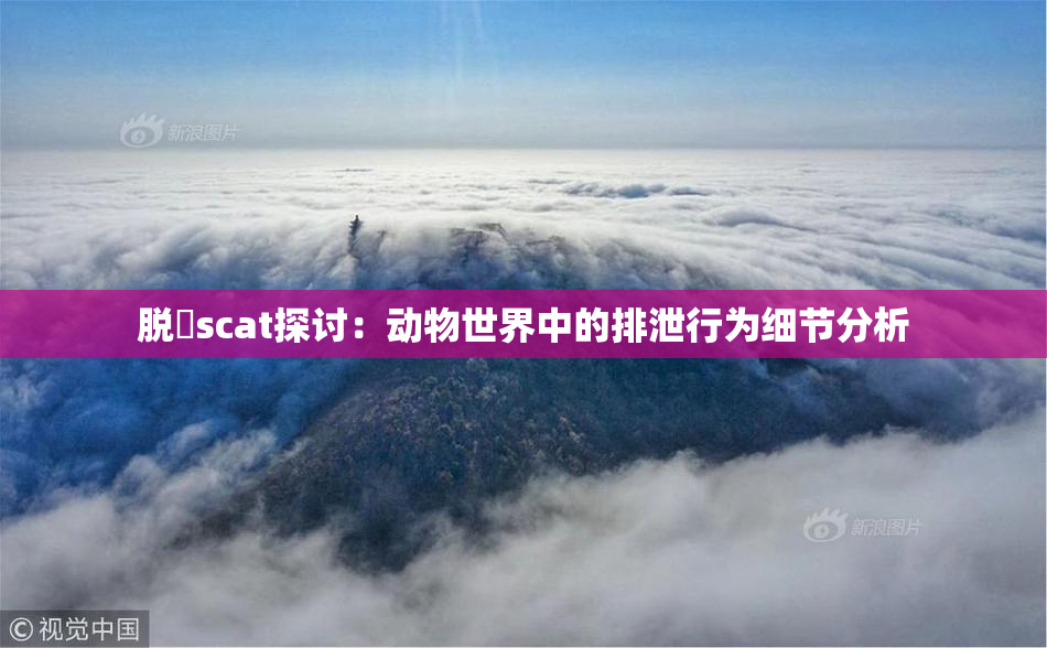 脱糞scat探讨：动物世界中的排泄行为细节分析