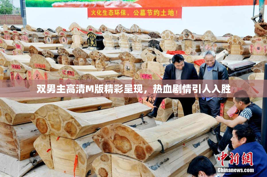 双男主高清M版精彩呈现，热血剧情引人入胜