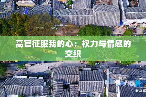 高官征服我的心：权力与情感的交织