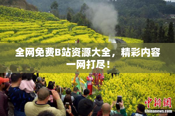 全网免费B站资源大全，精彩内容一网打尽！