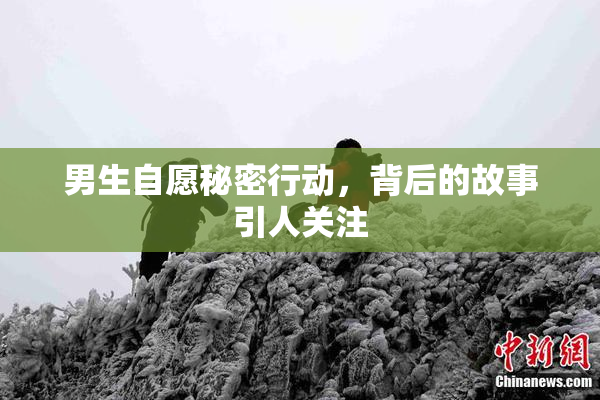 男生自愿秘密行动，背后的故事引人关注
