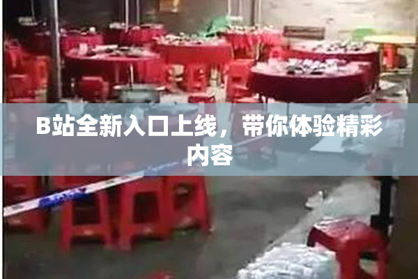 B站全新入口上线，带你体验精彩内容