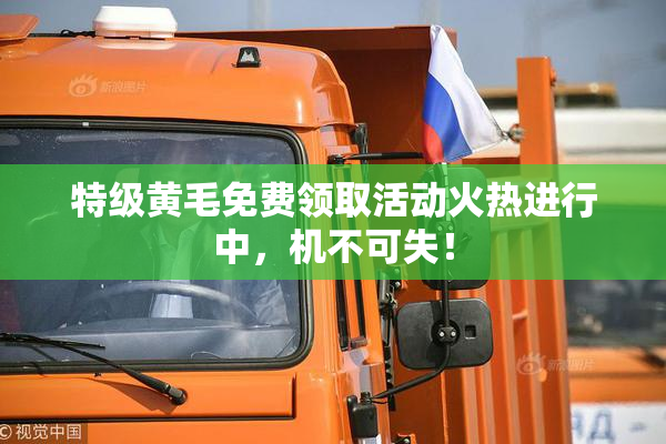 特级黄毛免费领取活动火热进行中，机不可失！