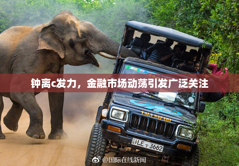 钟离c发力，金融市场动荡引发广泛关注