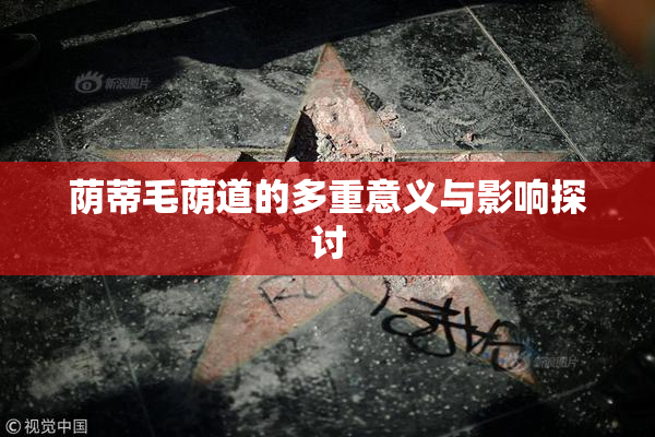荫蒂毛荫道的多重意义与影响探讨