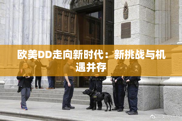 欧美DD走向新时代：新挑战与机遇并存
