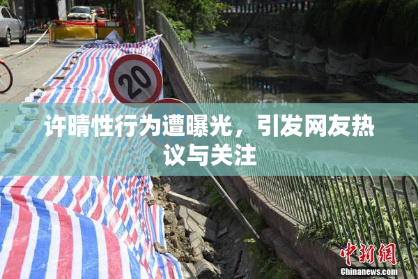 许晴性行为遭曝光，引发网友热议与关注