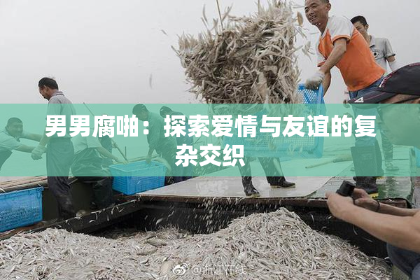 男男腐啪：探索爱情与友谊的复杂交织