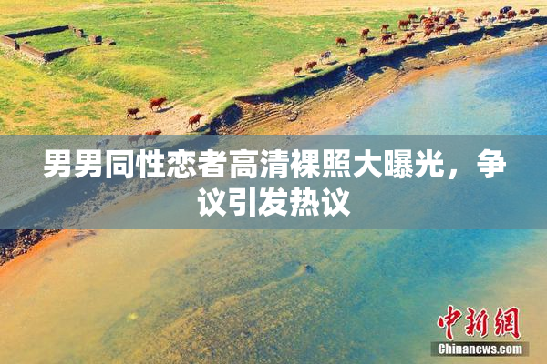 男男同性恋者高清裸照大曝光，争议引发热议