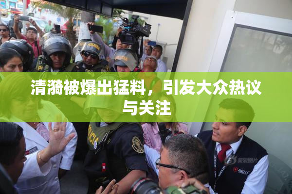 清漪被爆出猛料，引发大众热议与关注