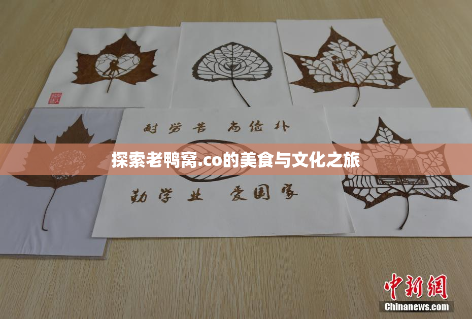 探索老鸭窝.co的美食与文化之旅