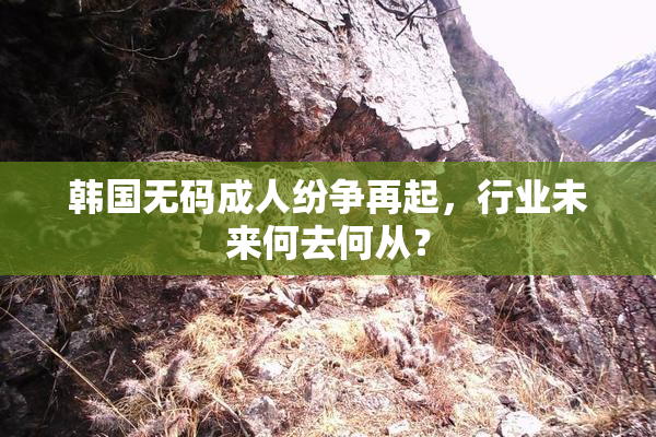 韩国无码成人纷争再起，行业未来何去何从？