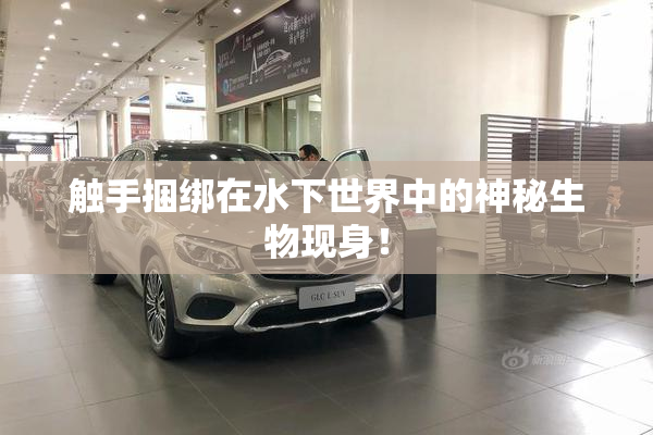 触手捆绑在水下世界中的神秘生物现身！