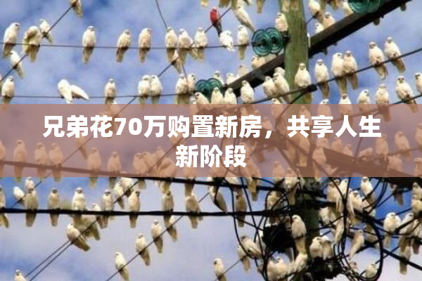 兄弟花70万购置新房，共享人生新阶段