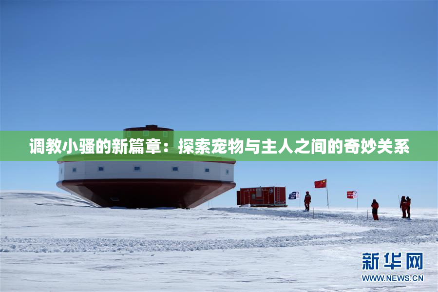 调教小骚的新篇章：探索宠物与主人之间的奇妙关系
