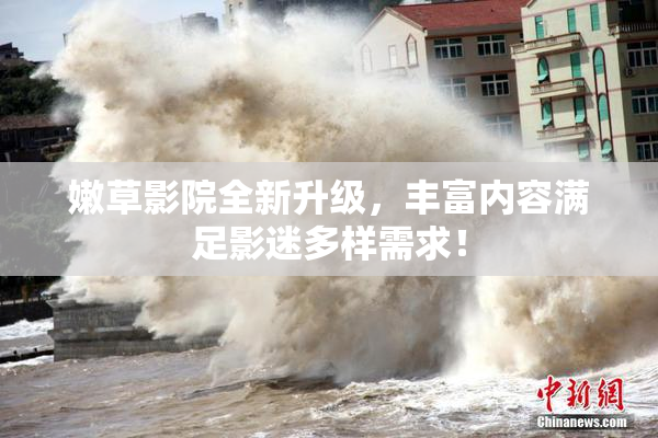 嫩草影院全新升级，丰富内容满足影迷多样需求！