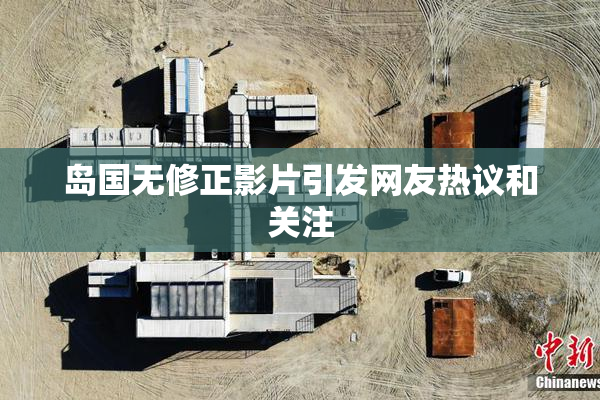岛国无修正影片引发网友热议和关注