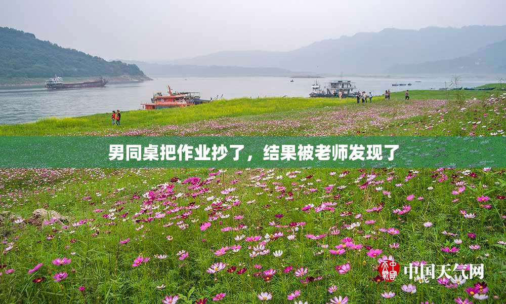 男同桌把作业抄了，结果被老师发现了