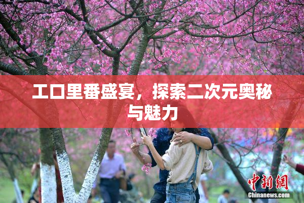 工口里番盛宴，探索二次元奥秘与魅力