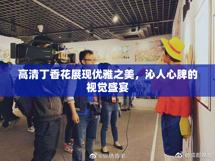 高清丁香花展现优雅之美，沁人心脾的视觉盛宴