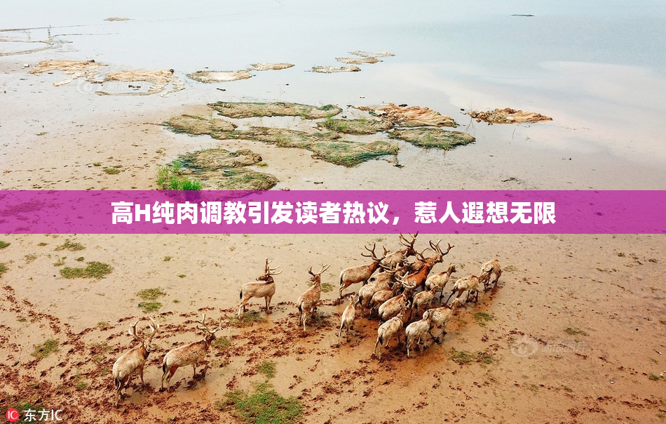 高H纯肉调教引发读者热议，惹人遐想无限