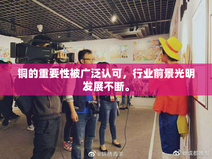 铜的重要性被广泛认可，行业前景光明发展不断。