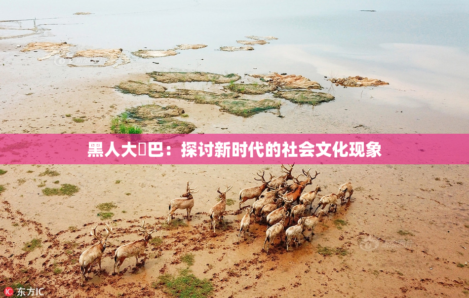 黑人大鷄巴：探讨新时代的社会文化现象