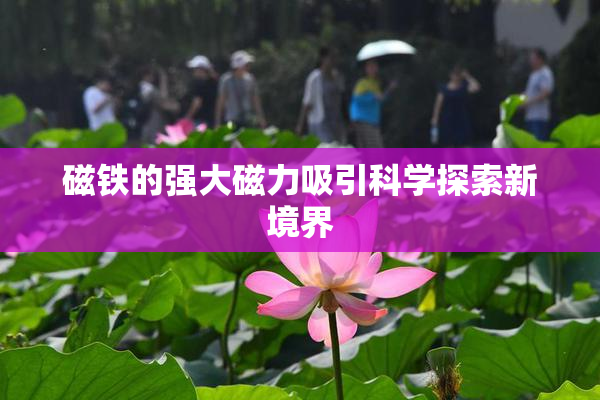 磁铁的强大磁力吸引科学探索新境界