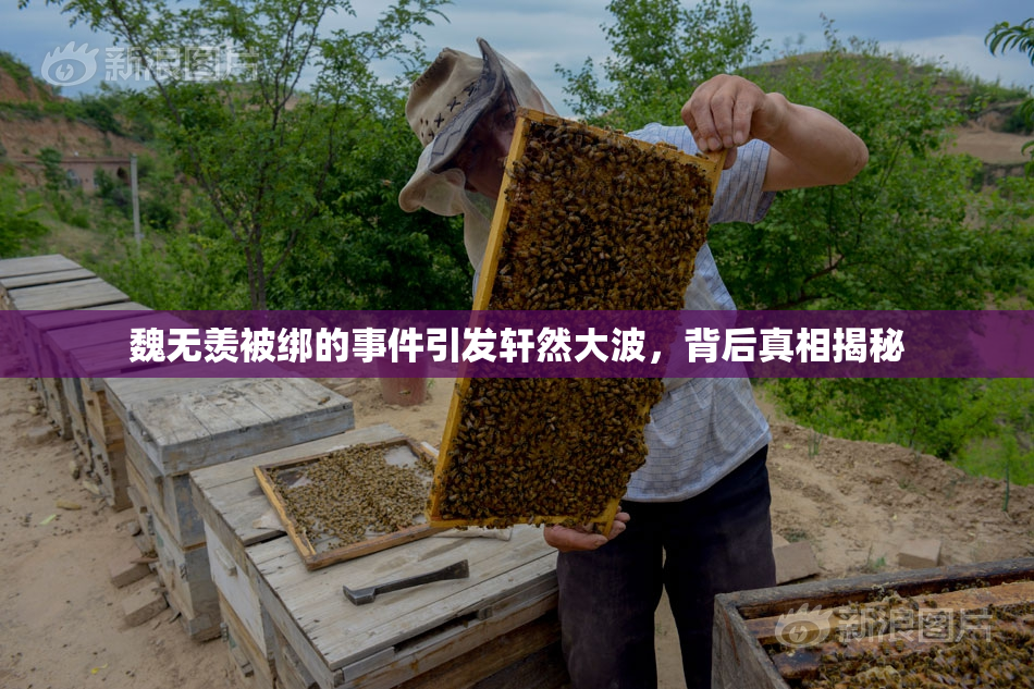 魏无羡被绑的事件引发轩然大波，背后真相揭秘