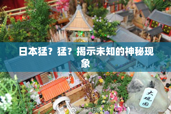 日本猛？猛？揭示未知的神秘现象